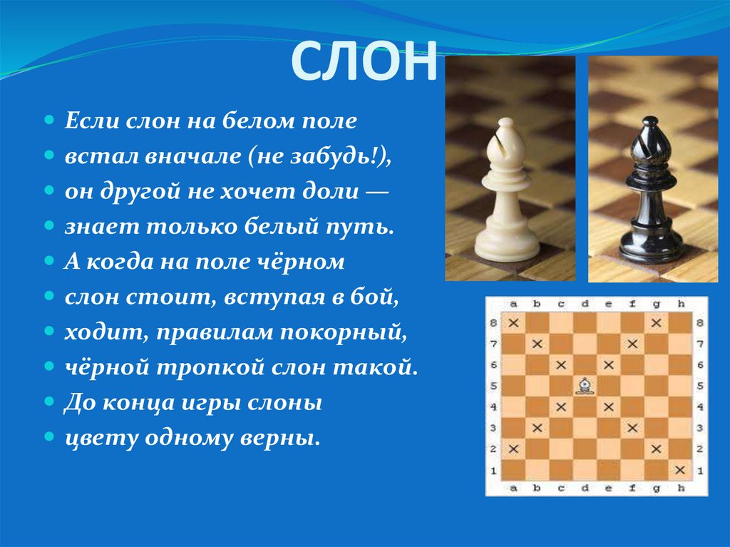 Слон на шахматной доске. Шахматы презентация. Сообщение о шахматах. Шахматы доклад. Шахматная презентация для детей.