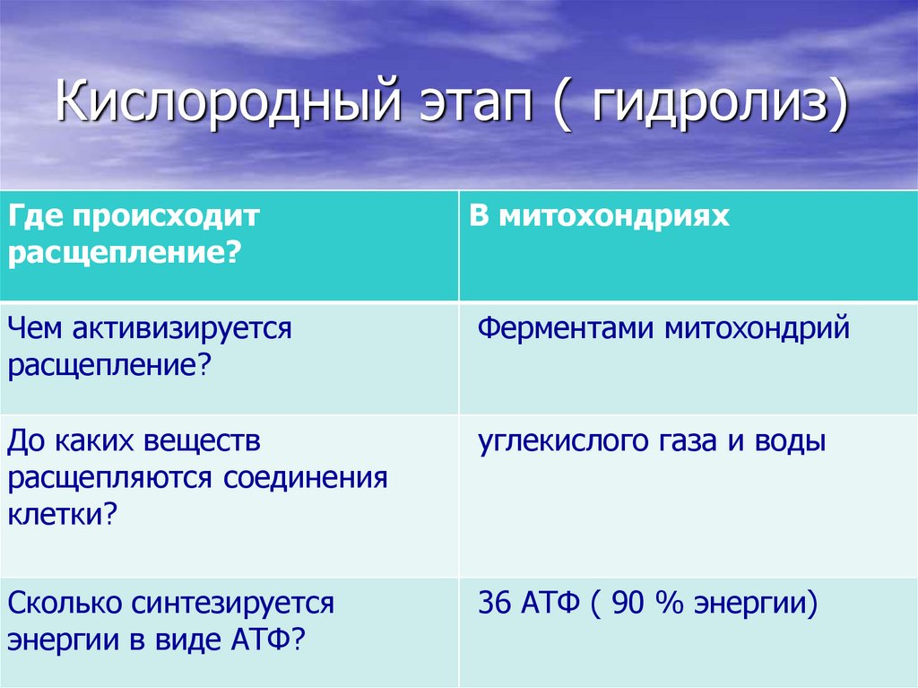 Энергетический выход кислородного этапа. Кислородный этап. Этапы кислородного этапа. Гидролиз кислородный этап. Этапы кислородного дыхания.