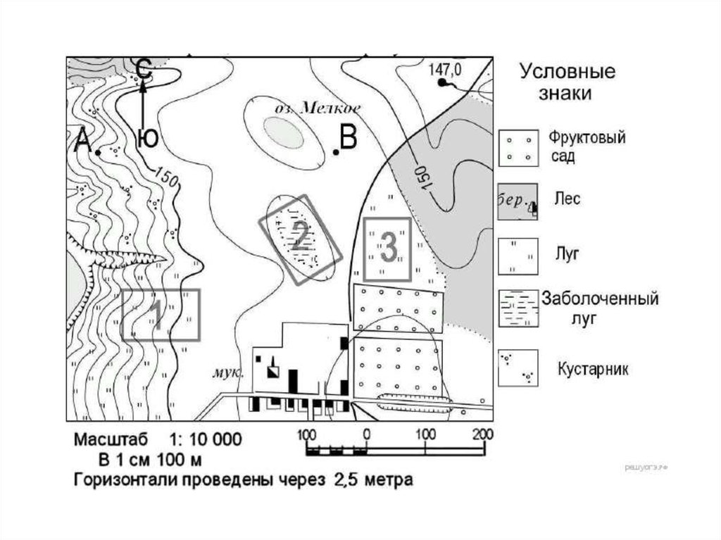 План местности 1 100. Задания по топографической карте 6 класс. Фрагмент топографической карты местности. Фрагмент топографической карты ОГЭ. Задания по топографической карте география 6 класс.