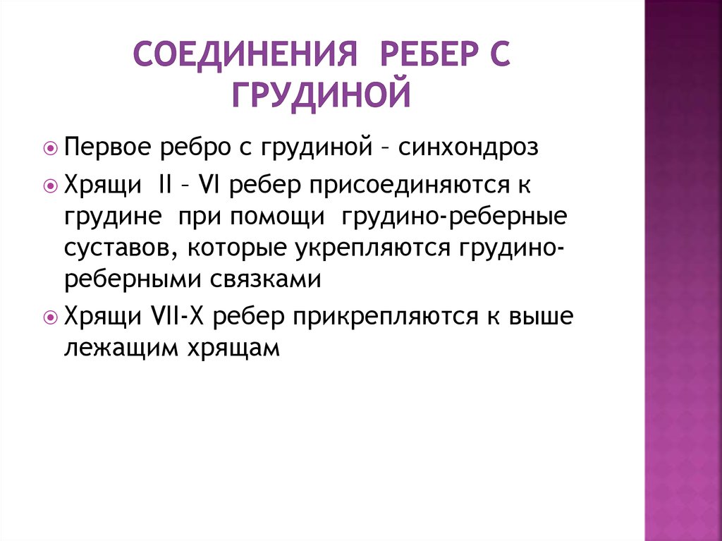 Соединение ребер с грудиной. Соединения грудной клетки. Соединения ребер. Соединение ребер с грудной. Виды соединений грудной клетки.