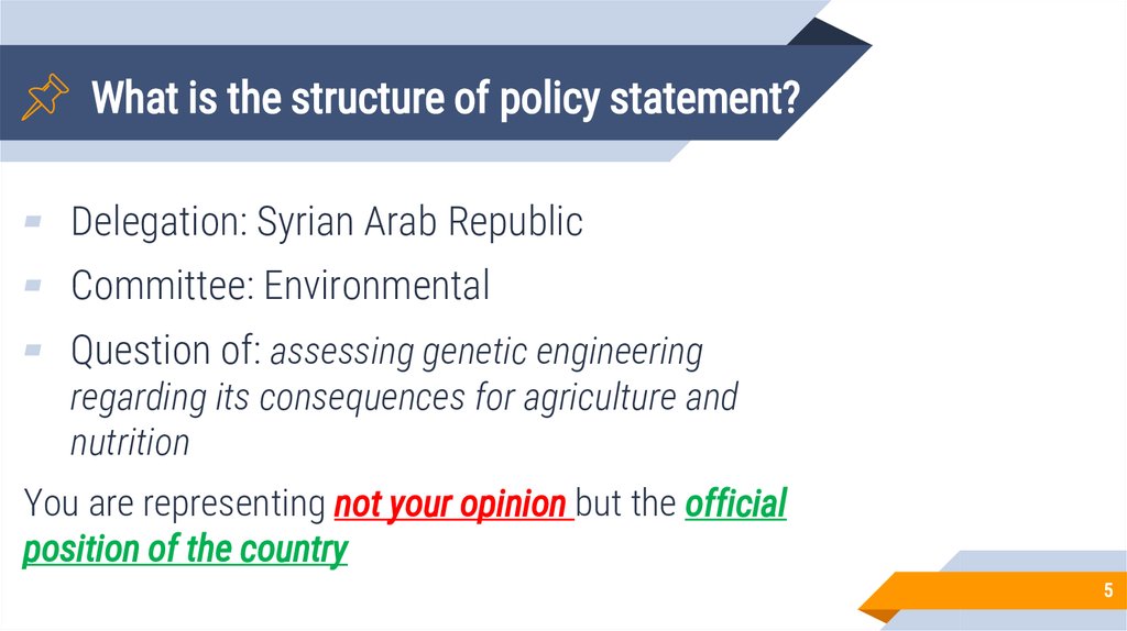 Policy Statement And MUN Rules Of Procedure Online Presentation