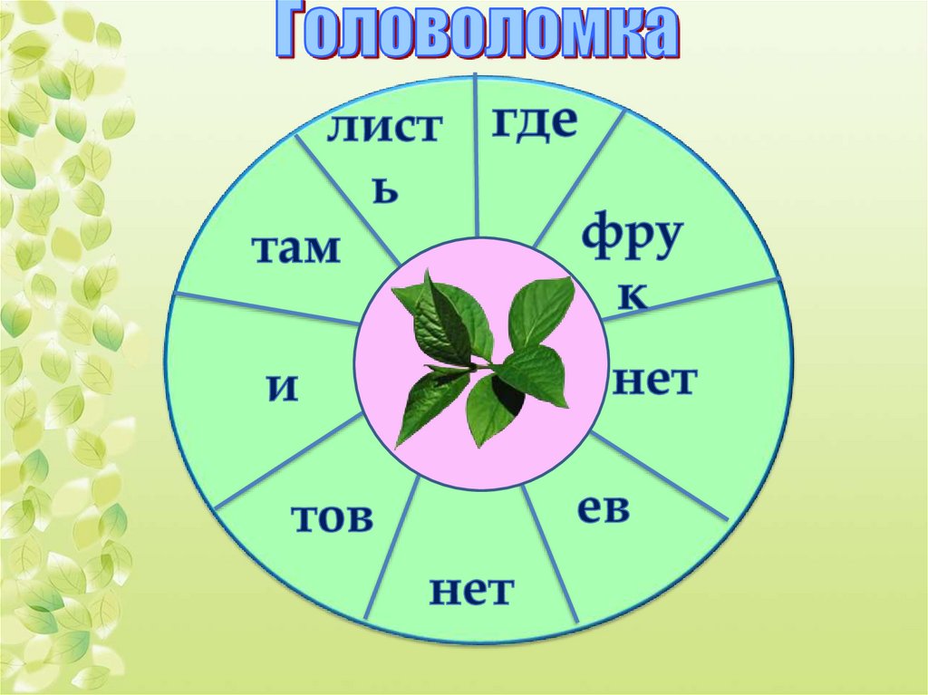 Презентация по биологии 6 класс организм единое целое