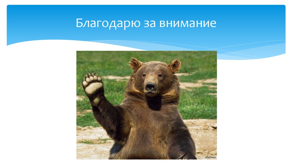 Благодарю за внимание