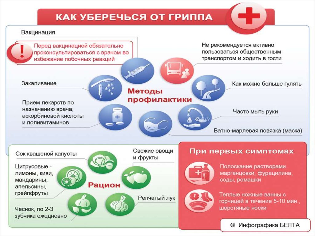 Профилактика гриппа препараты. «Как уберечься от простуды» ДОУ. Профилактика гриппа и парагриппа. Лекарство от гриппа инфографика. Интересные факты о простуде.