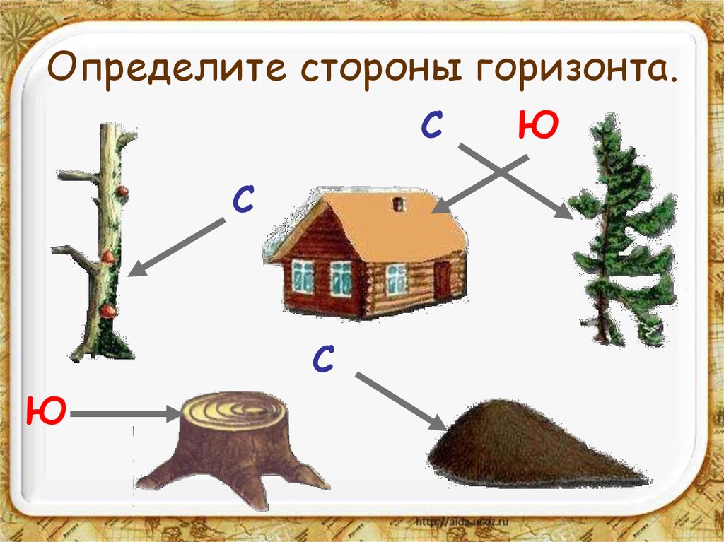 Соотнеси по схеме и тексту основные стороны горизонта укажи их в окошках подпиши названия рек