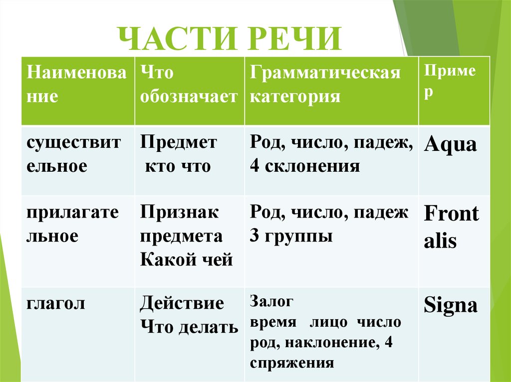 Грамматическая категория наклонения. Грамматические категории частей речи. Примеры категорий. Грамматическая категория примеры. Чей какая часть речи.