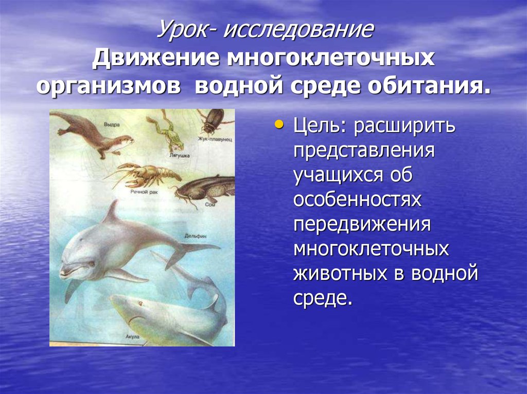 Проект по биологии 5 класс среда обитания водная