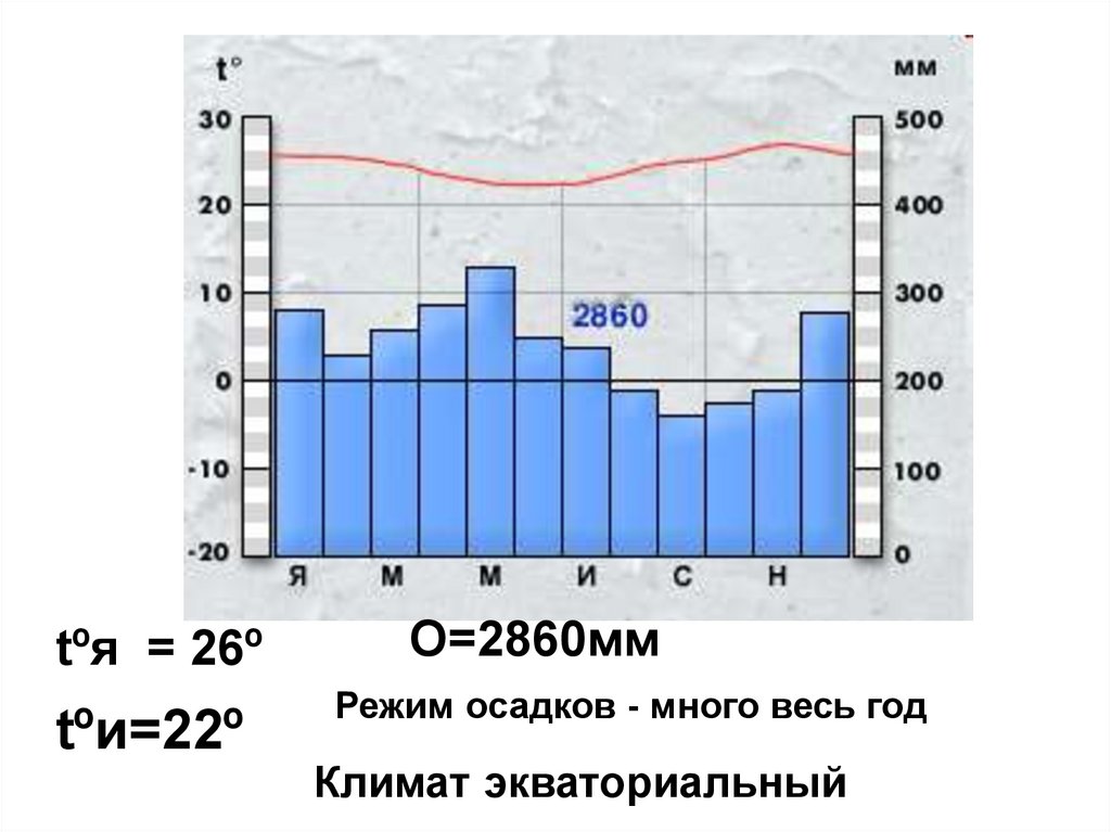 Климат по осадкам. Климатограмма экваториального пояса Южной Америки. Климатограмма экваториального пояса Африки. Климатограмма экваториального климата Африки. Климатограммы субэкваториального пояса Южной Америки.