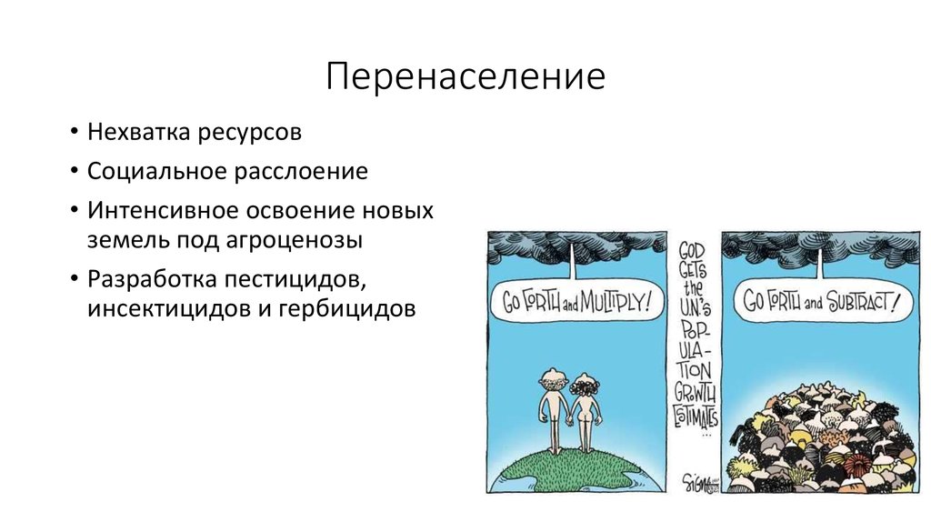 Нехватка ресурсов. Последствия перенаселения. Причины перенаселения земли. Острота проблемы перенаселения. Перенаселение причины и последствия.