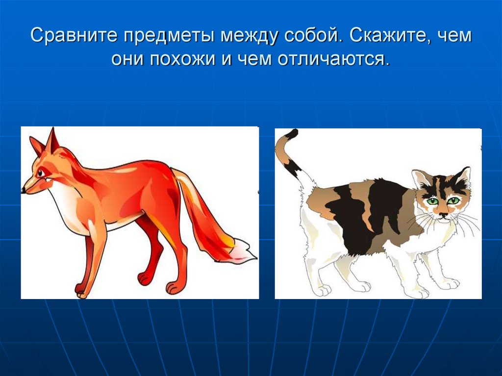 Различие предметов. Сравнение двух предметов. Сравнение двух объектов. Чем похожи и чем отличаются. Чем похожи чем отличаются картинки.