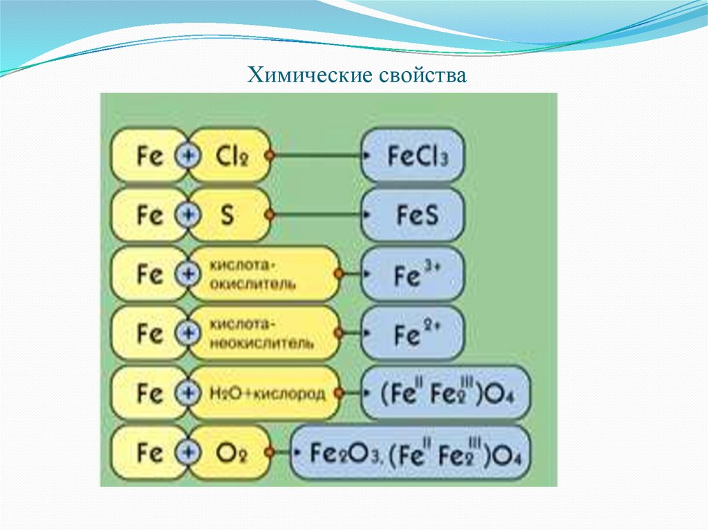 Схема строения fe 3