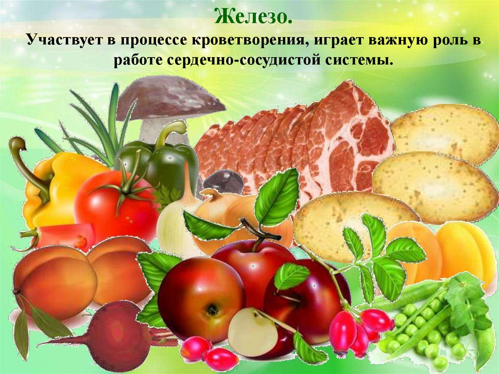 Презентация физиология питания 6 класс технология кулинария