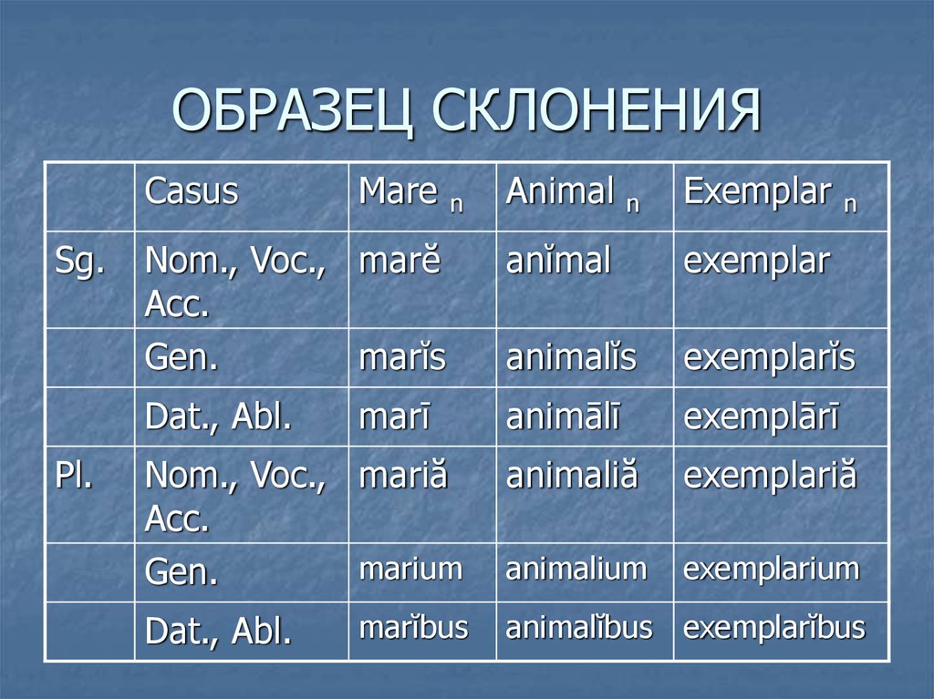 Третий склонение. Склонения. Склонение образец. Примеры по склонениям. Просклонять образец.