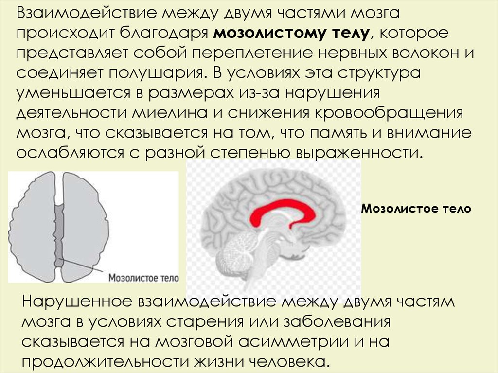 Ангиоспазм мозга