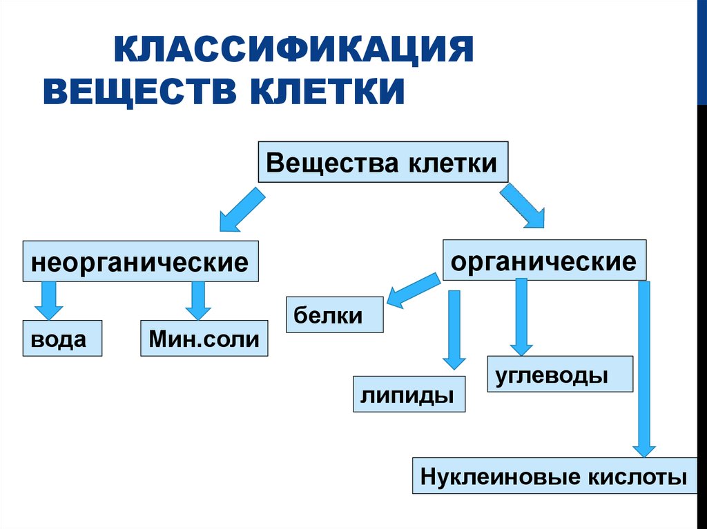 Химическая организация клетки презентация