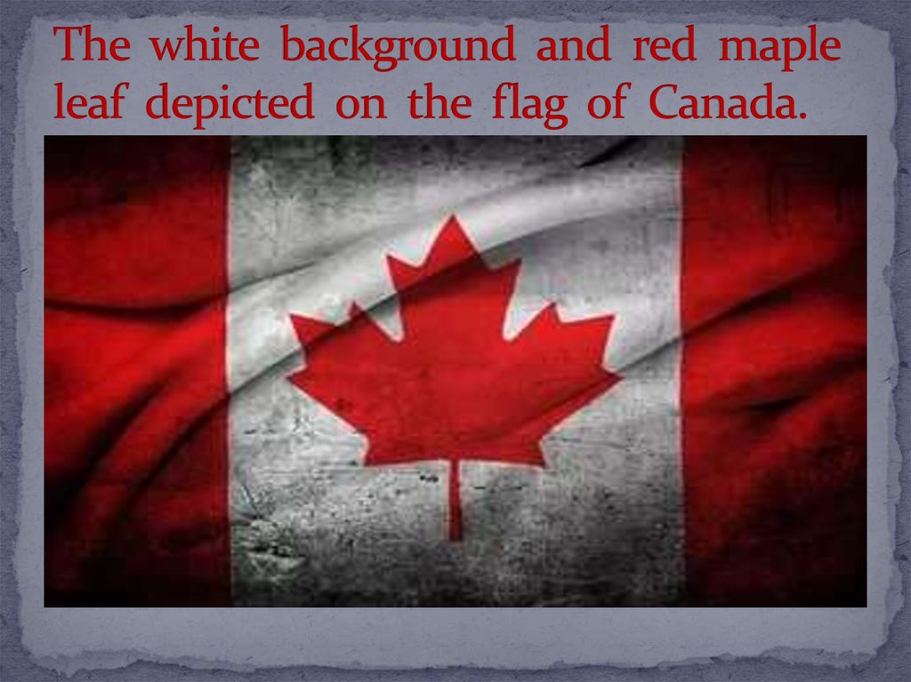 The white background and red maple leaf depicted on the flag of Canada.