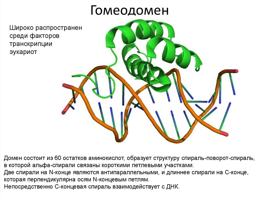 Состоит из остатков