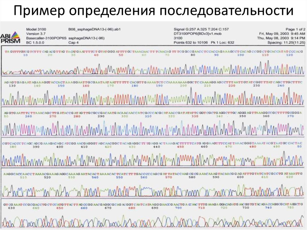 Вопросы на определение последовательности