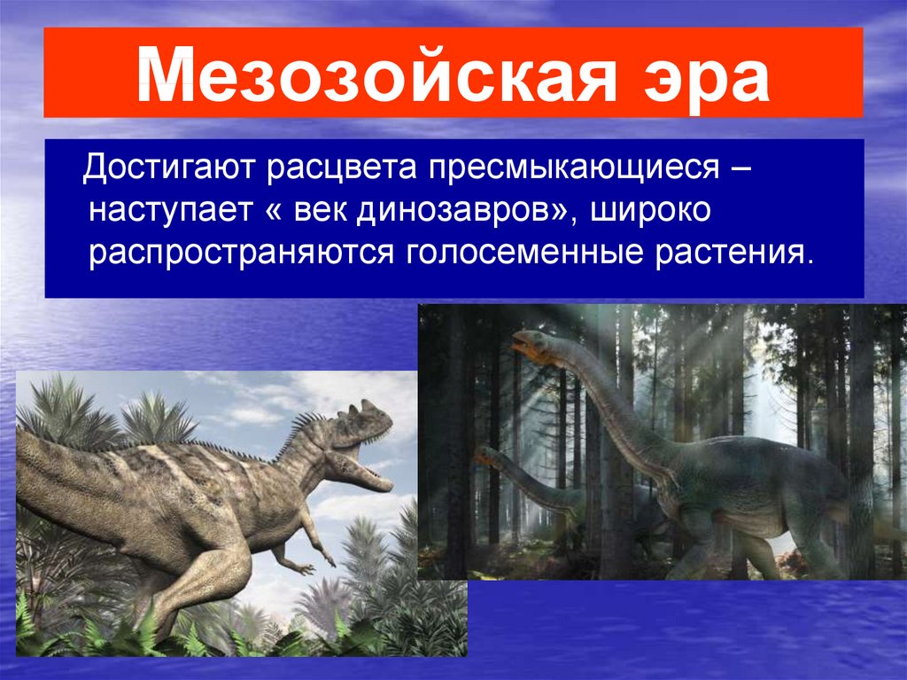 Начало мезозойской эры. Мезозойская Эра Эра динозавров. Мезозойская Эра периоды динозавры. Мезозойская Эра интересные факты. Меловой период мезозойской эры.