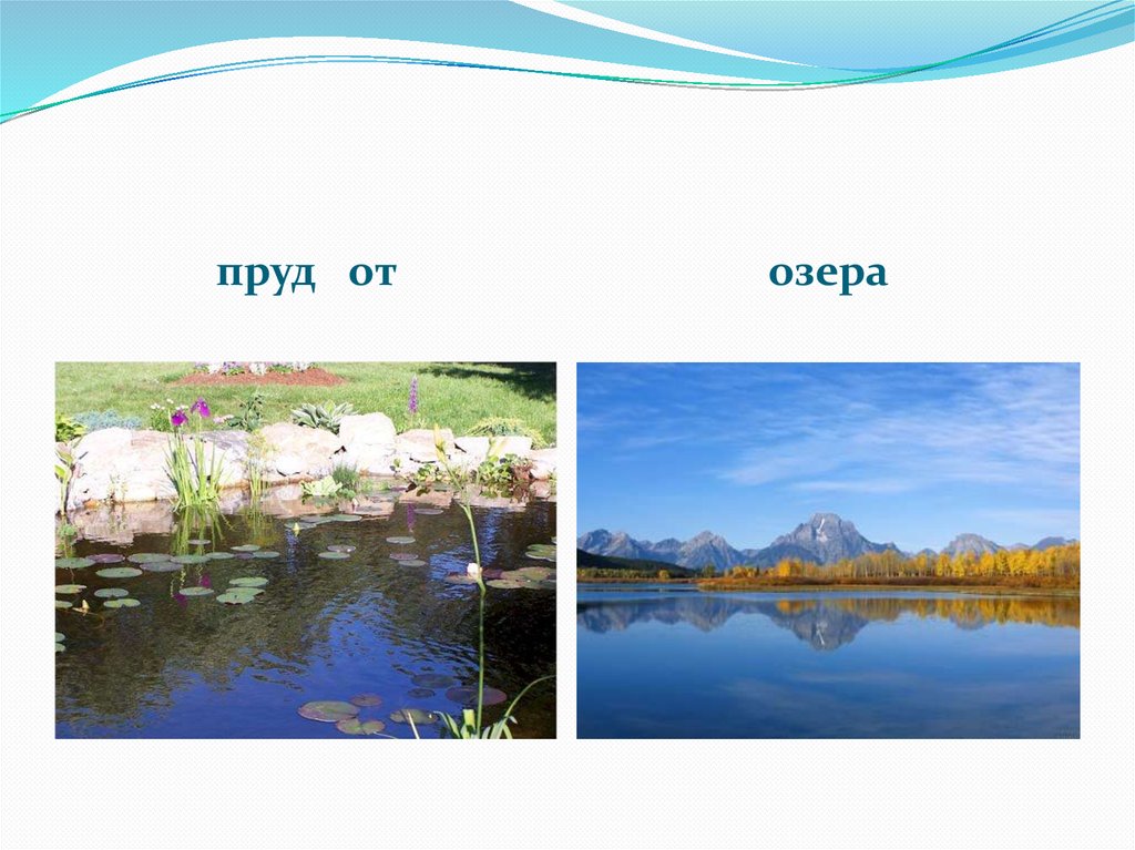 Различие водоемов. Озеро пруд отличие. Отличие пруда от озера. Пруд и озеро в чем разница. Как отличить озеро от пруда.