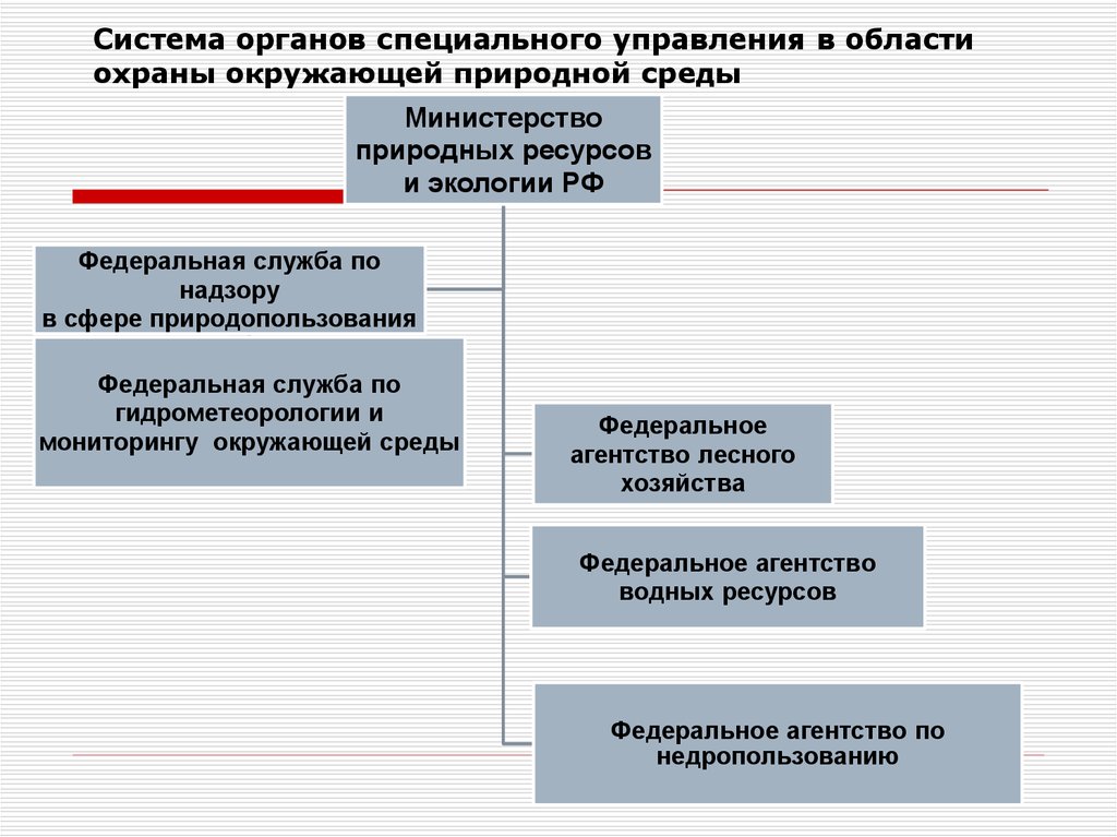 Органы специального управления. Органы осуществляющие экологическое управление. Структура органов управления природными ресурсами. Органы управления природопользованием и охраной окружающей среды. Система государственного управления в области ООС.