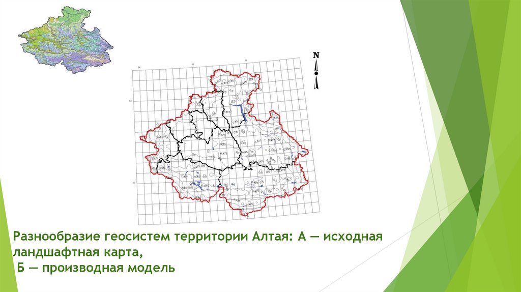 Разнообразие геосистем территории Алтая: А — исходная ландшафтная карта, Б — производная модель