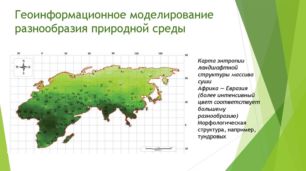 Что является основной причиной разнообразия природных зон