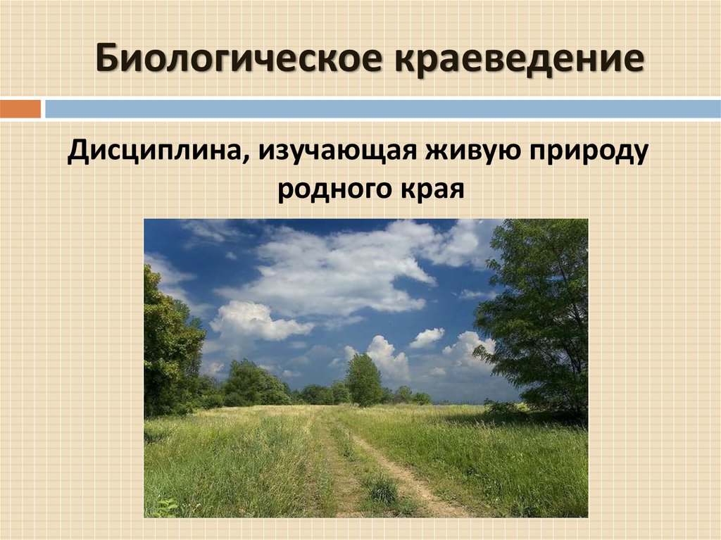 Сайт краеведении. Биологическое краеведение. Краеведенье в биологии. Краеведение о родном крае. Предмет биологического краеведения.