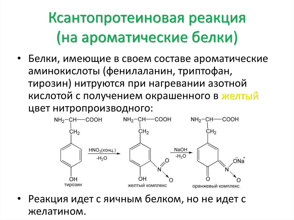 Реакция на белок что значит. Ксантопротеиновая реакция на тирозин. Качественная реакция на белки ксантопротеиновая. Уравнение ксантопротеиновой реакции на тирозин. Ксантопротеиновая реакция на ароматические аминокислоты.