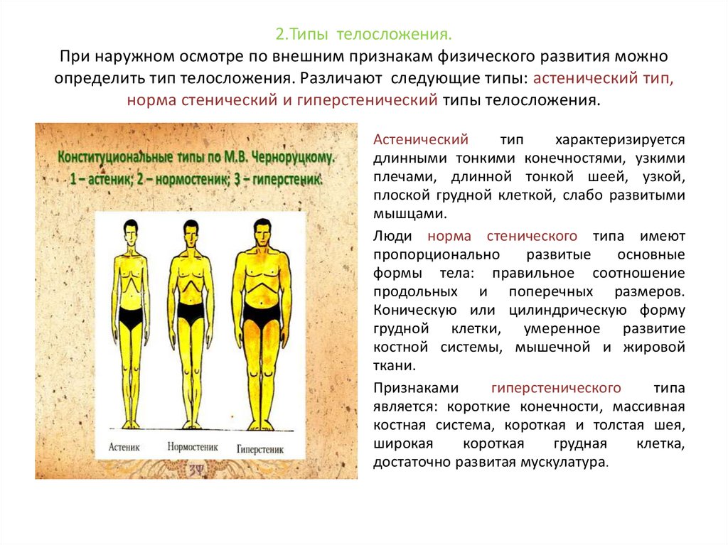 2.Типы телосложения. При наружном осмотре по внешним признакам физического развития можно определить тип телосложения.