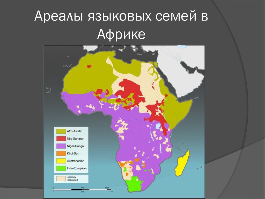 Ареалы языковых семей в Африке