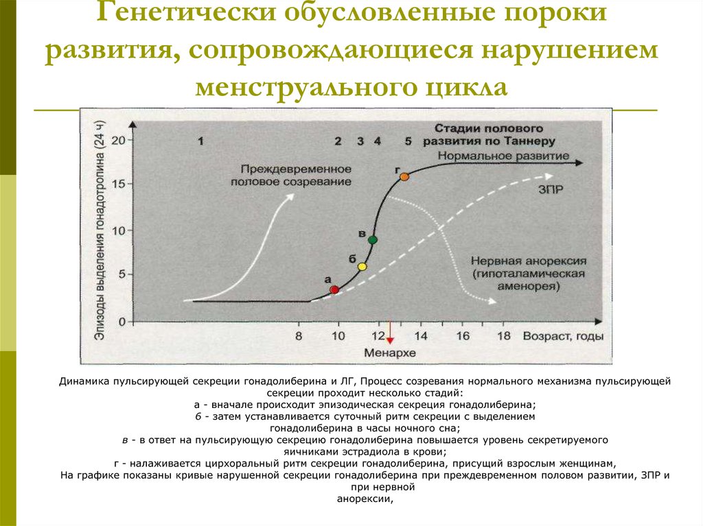 Презентация нарушения менструационного цикла