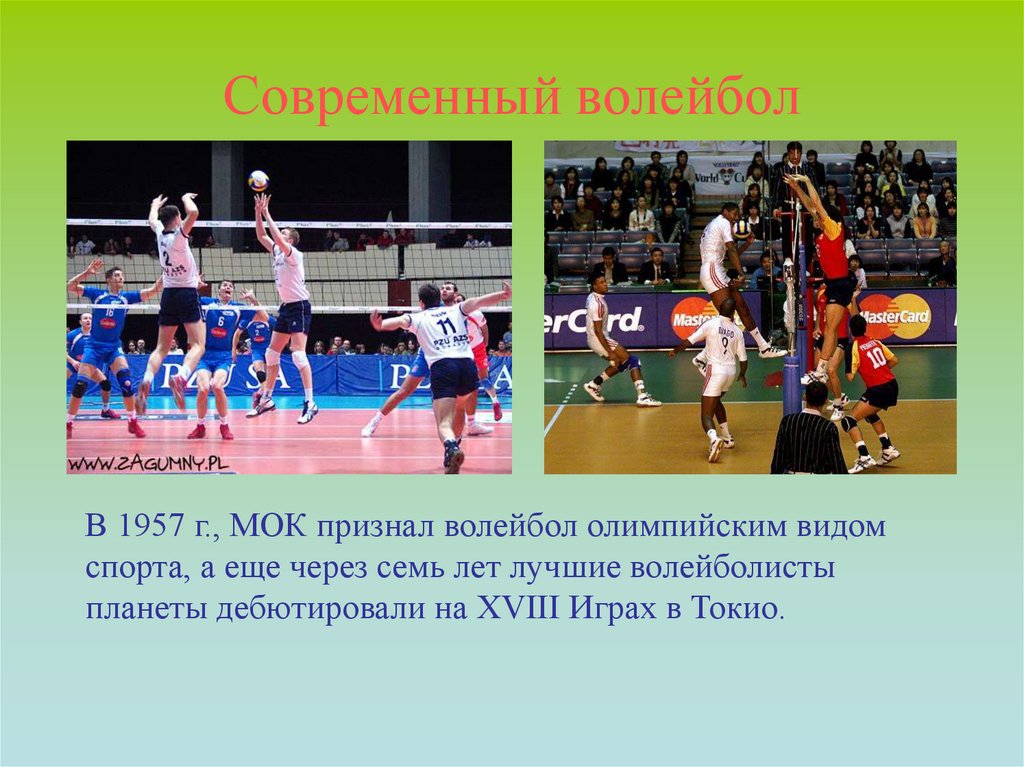 Волейбол олимпийский вид спорта. Волейбол вид спорта презентация. Виды современного волейбола. Презентация о волейболе для 5 класса. Волейбол 5 класс физкультура.