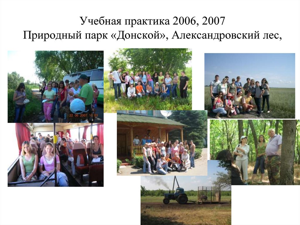 Учебная практика 2006, 2007 Природный парк «Донской», Александровский лес,