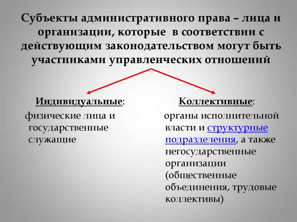 Индивидуальные субъекты административного