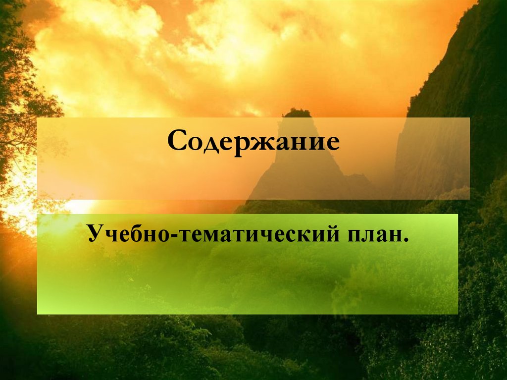 Содержание