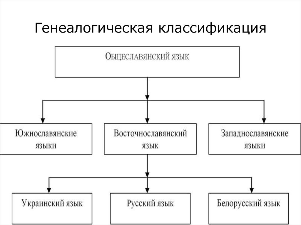 Деление языков. Генеалогическая классификация. Генеалогическая классификация языка. Классификация языков схема. Принципы генеалогической классификации языков.