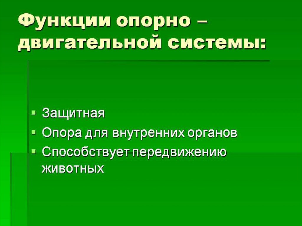 Какие функции выполняет опорная система