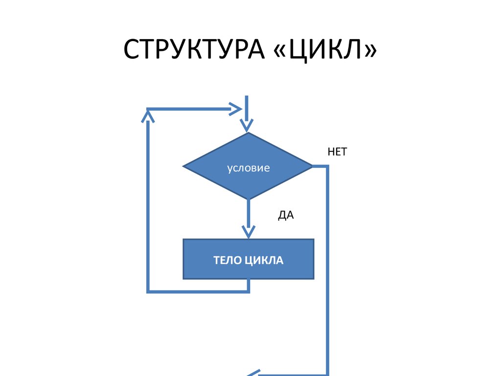 Картинки с выставки строение цикла