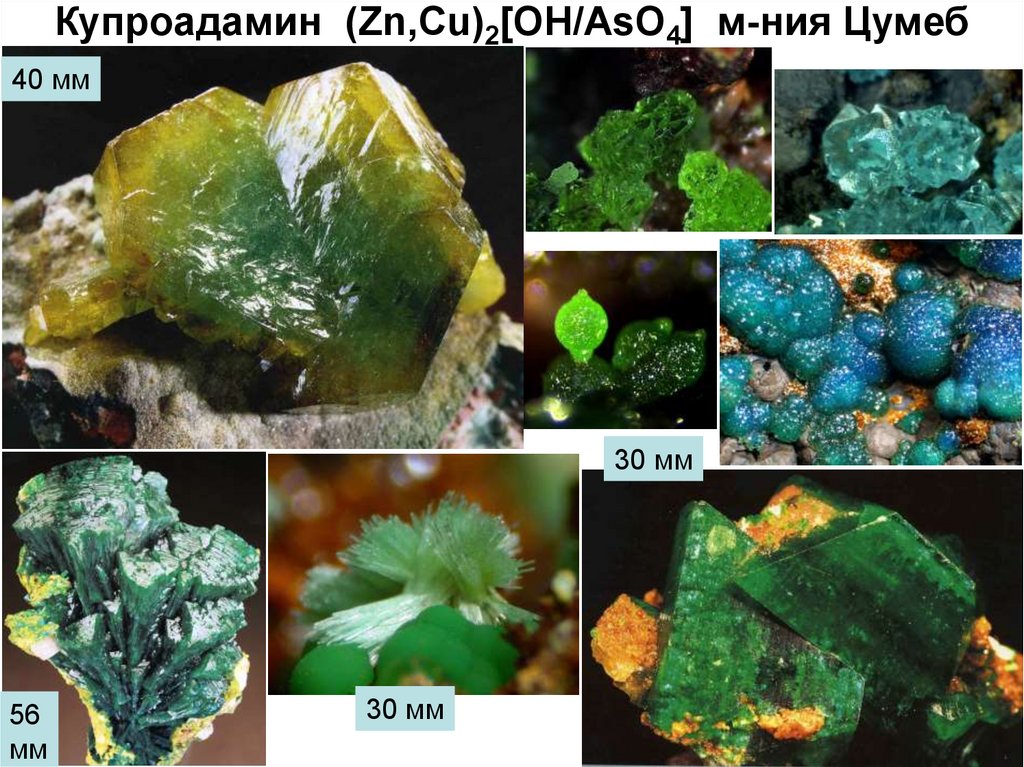Эволюция минералов. Адамин. ZN(aso4)2. Проект пищевые минералы цинк ,Марганец,хром,фтор.5 класс.