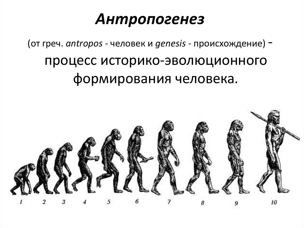 Начальный период развития человека