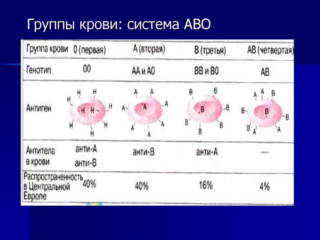5 и 6 группа крови. Антигены и антитела системы АВО. Группы крови по системе Abo. Группы крови АВО. Abo система групп крови.