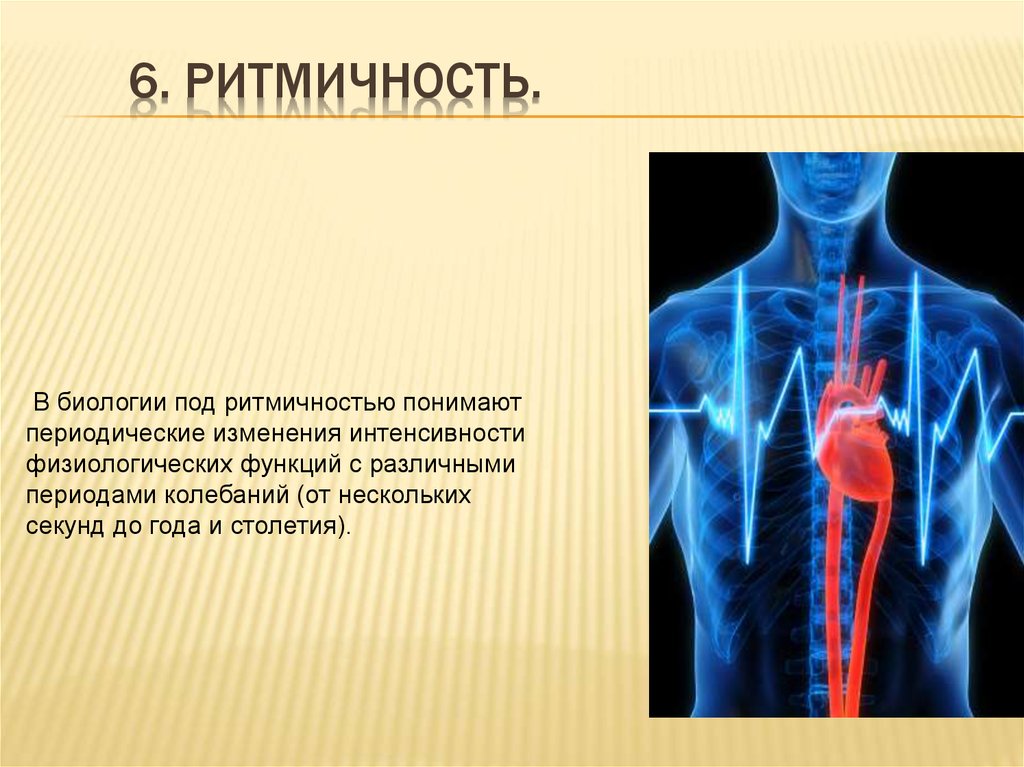 Ритмичность картинки биология огэ