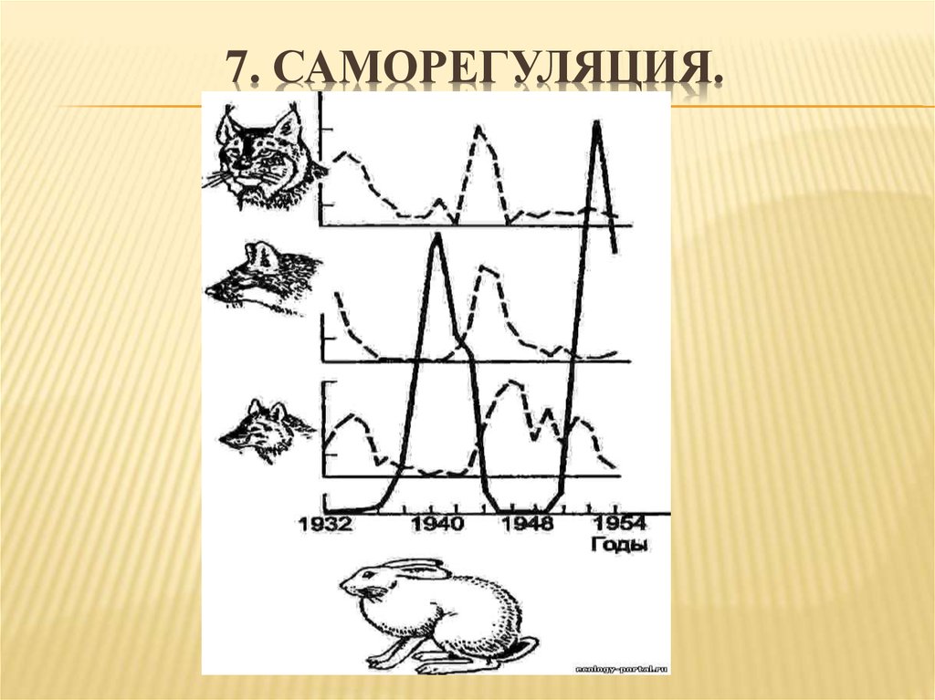 Саморегуляция картинки биология