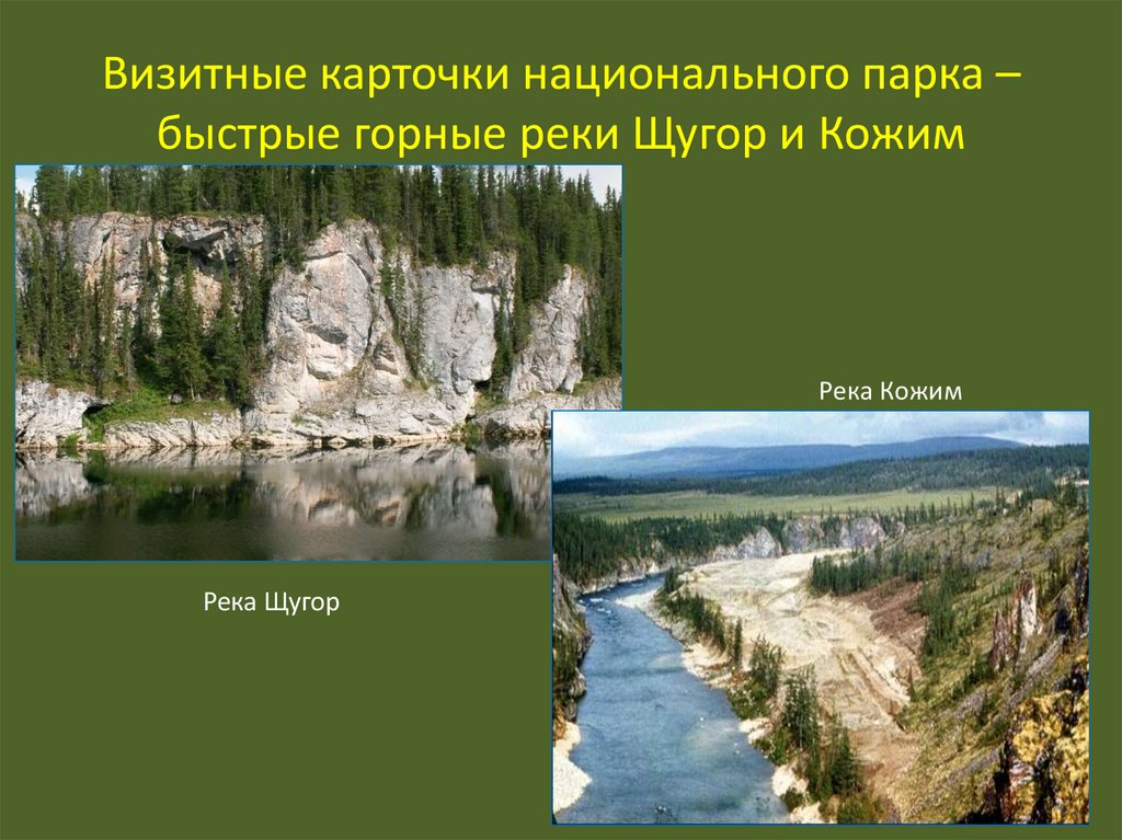 Визитные карточки национального парка –быстрые горные реки Щугор и Кожим