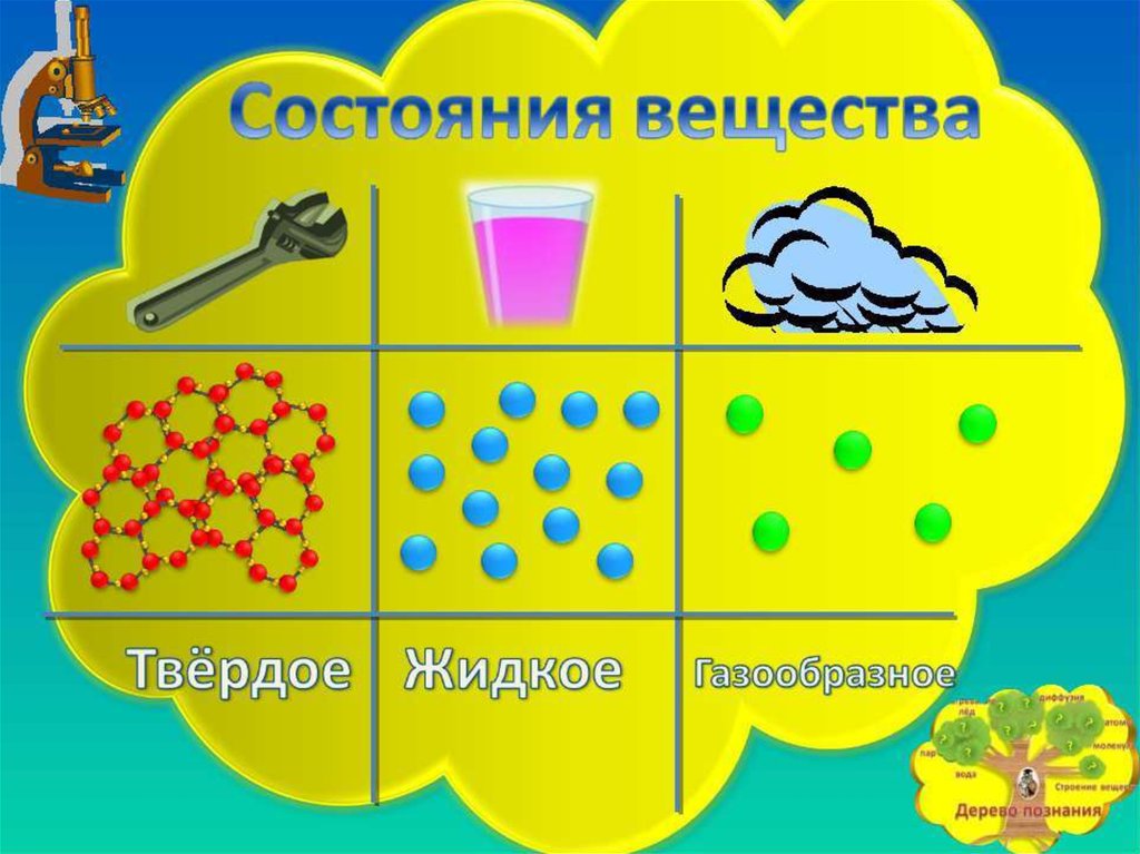 Твердое жидкое газообразное. Жидкое твердое газообразное состояние. Расположение твердого жидкого и газообразного вещества. Состояние веществ для дошкольников.