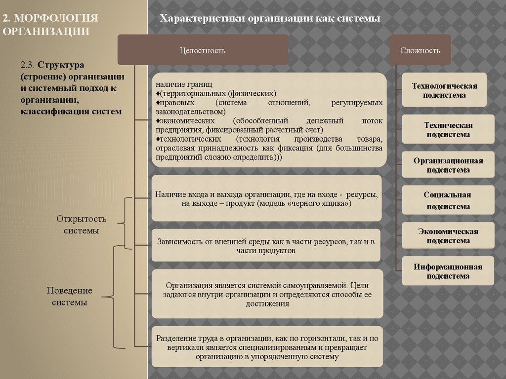 Содержание организационного проекта