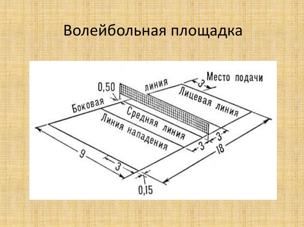 Схема волейбольного поля