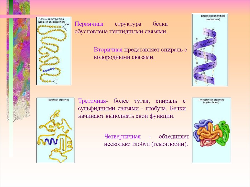 Какие связи есть в белке первичная. Вторичная структура белка спираль. Первичная вторичная и третичная структура белков. Белки первичная структура вторичная третичная. Структуры белка первичная вторичная третичная четвертичная.