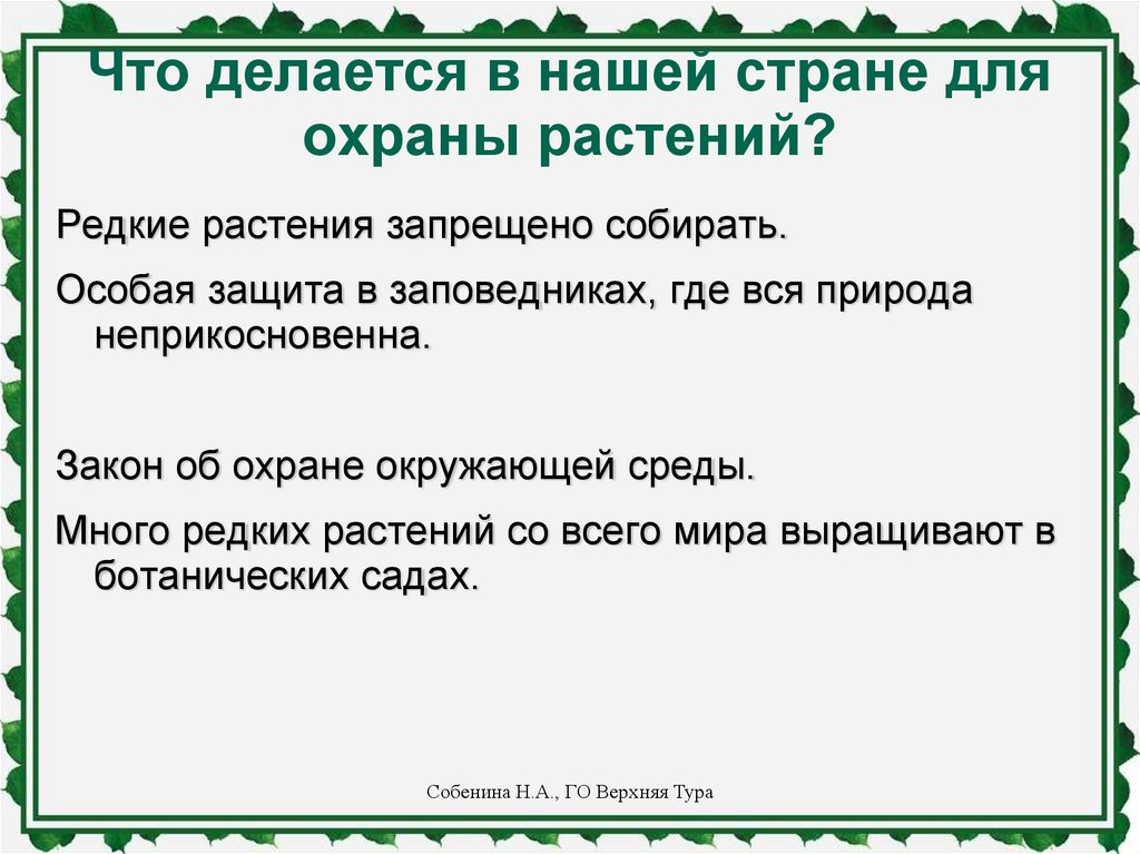 Значение и охрана растений презентация